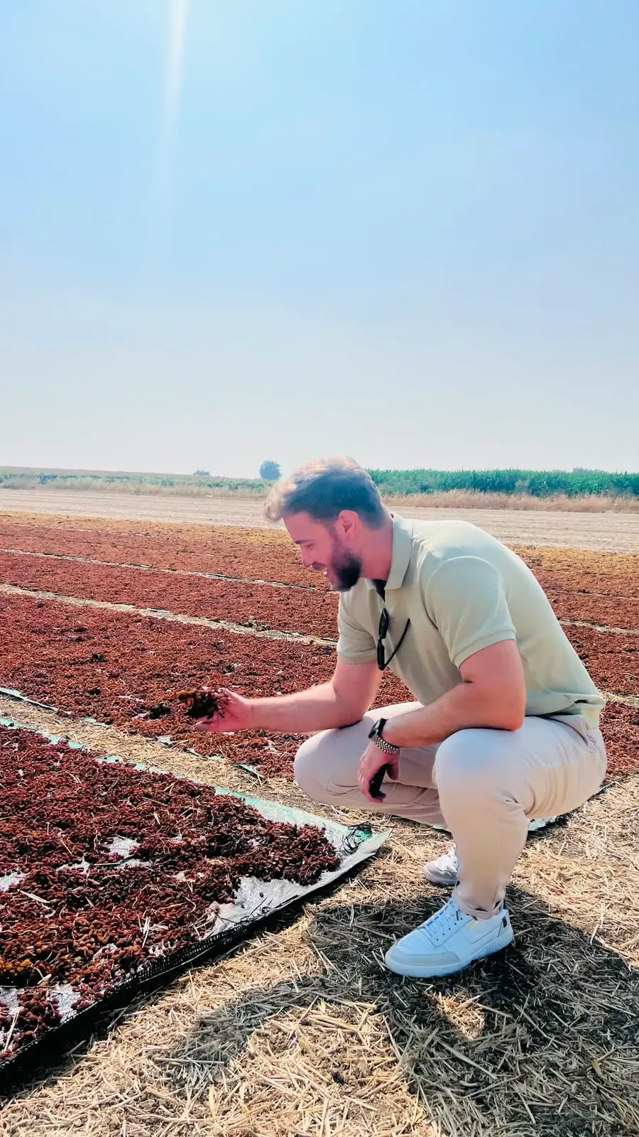Sultanas are drying in the sun, with a buyer inspecting the quality