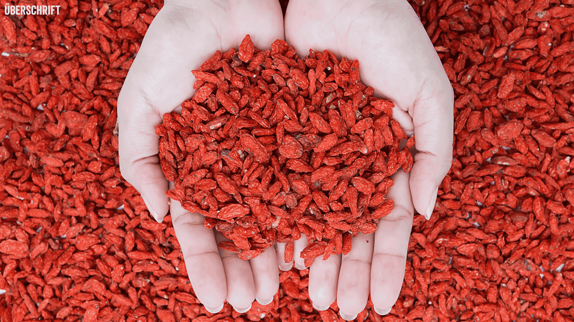 Goji berries in two hands side by side, with goji berries below